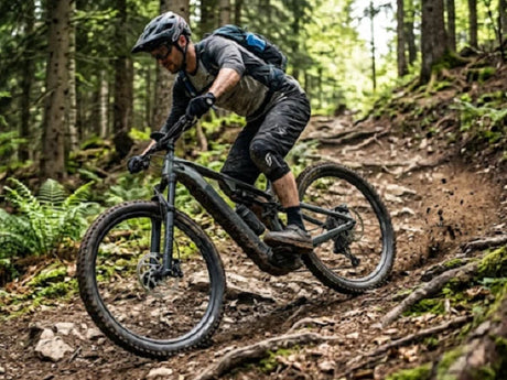 Top 6 Mocnych Modeli Gdzie Rower Elektryczny Górski Wygrywa W Terenie