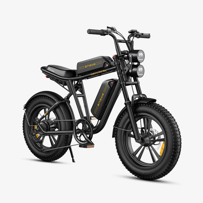ENGWE M20